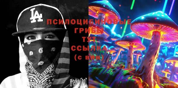прущая мука Верея