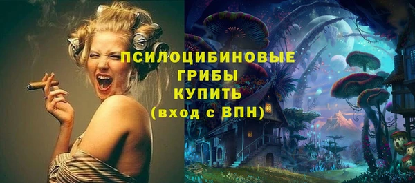 прущая мука Верея
