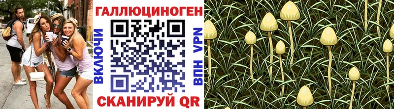 Псилоцибиновые грибы мухоморы  Купить где  Курильск 