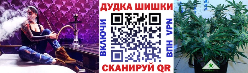 Купить закладки  Курильск  МАРИХУАНА сатива 